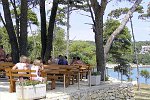 App. Suha Punta - Ferienanlage Suha Punta - Rab / Insel Rab Kroatien (Kvarner Bucht) Verpflegung: