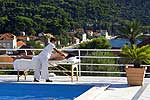 Hotel Villa Vilina - Lopud /Insel Lopud Kroatien (Dalmatien) Spartipp: