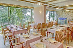 Bluesun Hotel Berulia - Brela Kroatien (Dalmatien) Sparangebote: