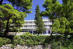 Blue Sun Hotel Maestral - Brela Kroatien (Dalmatien) Strand: