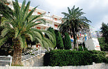 Hotel Aurora - Podgora Kroatien (Dalmatien) Lage: