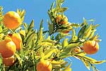 11-Tage Kroatien - kleines, großes Land - Kroatien 1.Tag: Anreise in die Steiermark