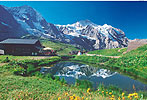 Auf dem B�rentrek durch die Alpen- 8 Tage Trekking