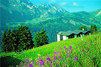 Traumwanderungen rund um Engelberg - 8 Tage Wander