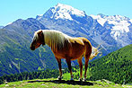 Zwei Länder - Zwei Nationalparks - Wanderreise