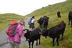 Wallis: im Val d´ Anniviers - 8 Tage Wanderreise