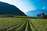 Die Sch�nsten Berge der Schweizer Alpen