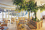 Hotel Garni Imseng